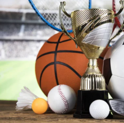 2024–25 season sport
